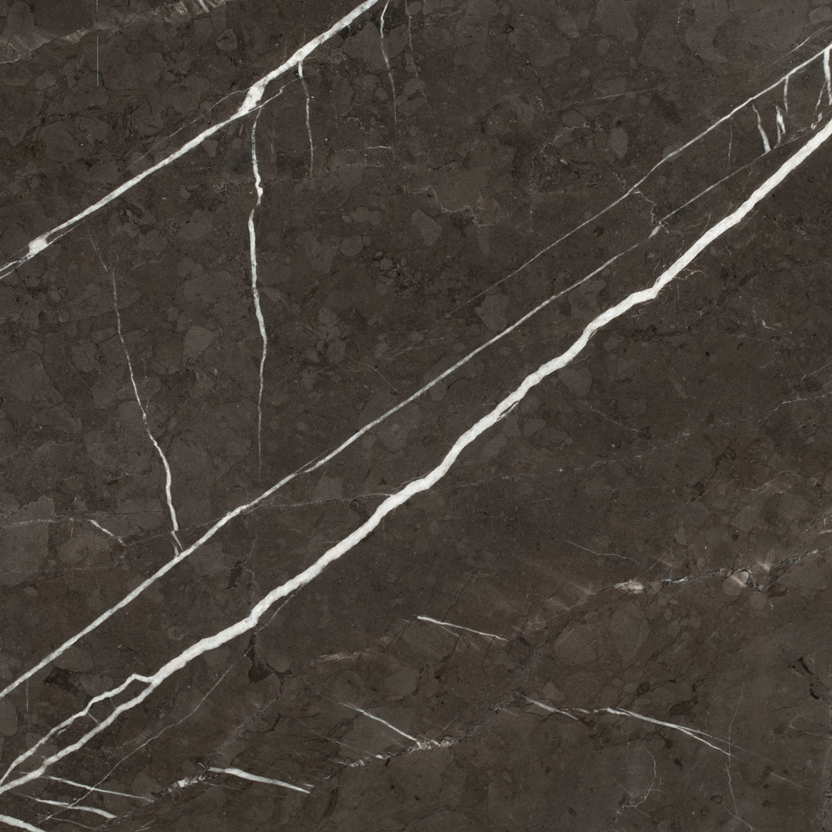 Pietra Gray Honed